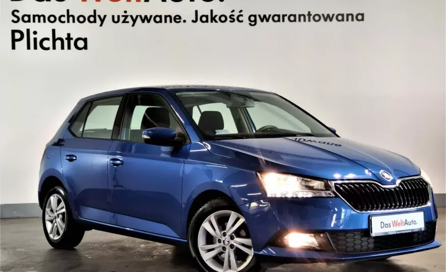 Skoda Fabia 1.0TSI 95KM, Ambition, Klimatyzacja, Salon PL, Gwarancja zdjęcie 