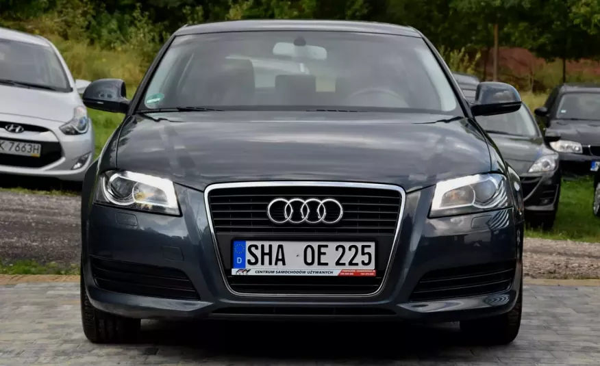 Audi A3 1.6 Diesel Bardzo Bogate Wyposażenie Gwarancja 12 msc /Leasingi zdjęcie 