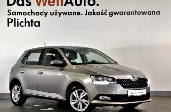 Skoda Fabia 1.0MPI 75KM, Ambition, Klimatyzacja, Salon PL, Gwarancja