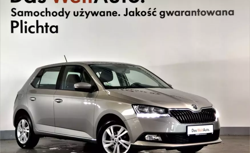 Skoda Fabia 1.0MPI 75KM, Ambition, Klimatyzacja, Salon PL, Gwarancja zdjęcie 