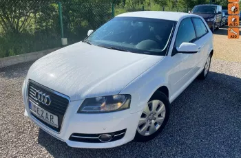 Audi A3 2.0 automat bezwypadkowy 2xPDC klimatronic 11r