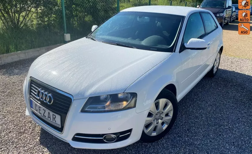 Audi A3 2.0 automat bezwypadkowy 2xPDC klimatronic 11r zdjęcie 