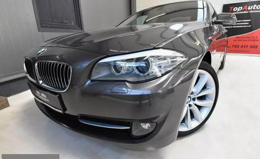 BMW 520 PERFEKCYJNA automat navi gwarantowany przebieg BEZWYPADKOWA FILM zdjęcie 