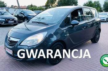 Opel Meriva Serwis, Ideał