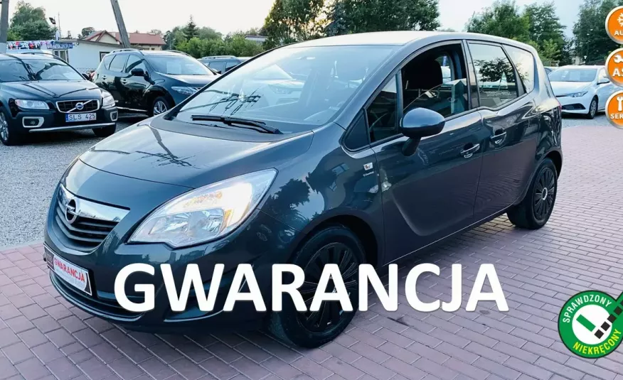 Opel Meriva Serwis, Ideał zdjęcie 