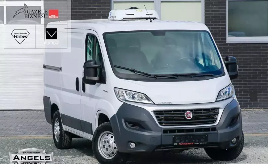 Fiat Ducato L1H1 CHŁODNIA 0 C NISKI DACH Professional NOWY MODEL zdjęcie 