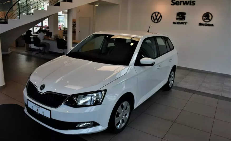 Skoda Fabia SalonPL, Vat23%, Bluetooth, Klimatyzacja 4x2 zdjęcie 