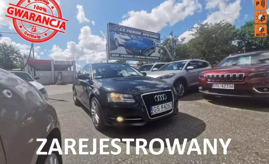 Audi A3 1.6 TDI 105 KM, Klimatyzacja, Nawigacja, Tempomat, Grzane Fotele, ALU zdjęcie 