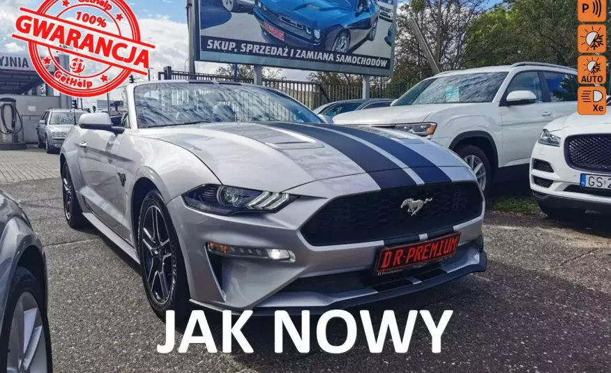 Ford Mustang 2.3 EcoBoost 317 KM, Skóra, Automat, Kamera, LED, Bluetooth, Klima, zdjęcie 