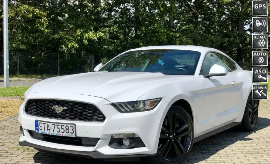 Ford Mustang 2.3 EcoBoost zdjęcie 
