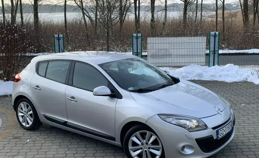 Renault Megane 2.0 TCe 180KM Privilege / Salon PL I-właściciel zdjęcie 