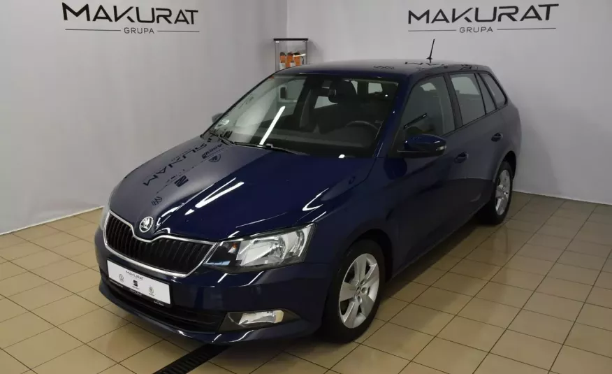 Skoda Fabia SalonPL, Vat23%, Bluetooth, Klimatronic, multifunkcja 4x2 zdjęcie 