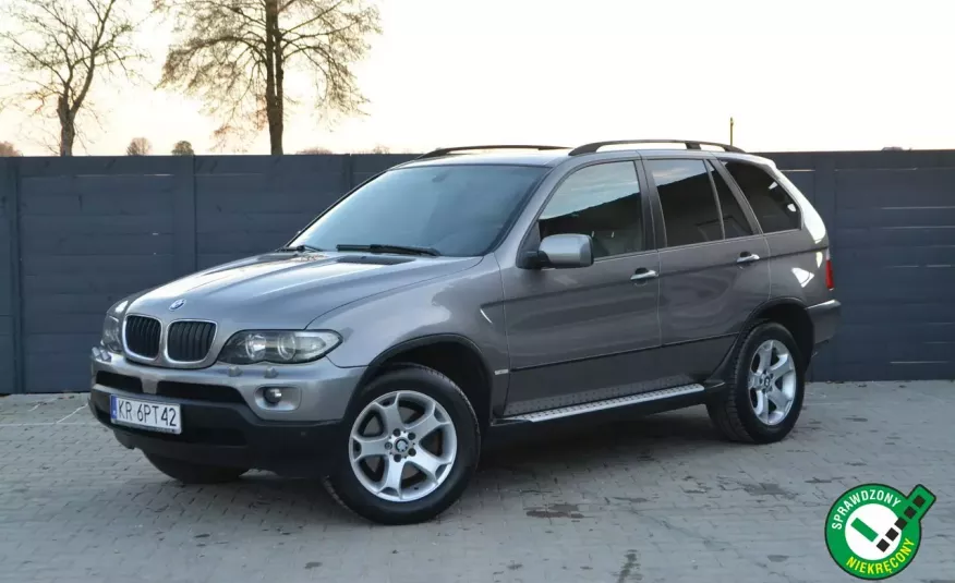 BMW X5 3.0d 218PS Lift Panorama Bardzo Zadbana Po Serwisie / 40 zdjęć zdjęcie 