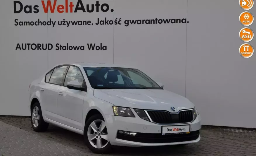 Skoda Octavia 2.0 TDI 150KM Ambition SmartLink Polski Salon Serwis ASO FV 23% zdjęcie 