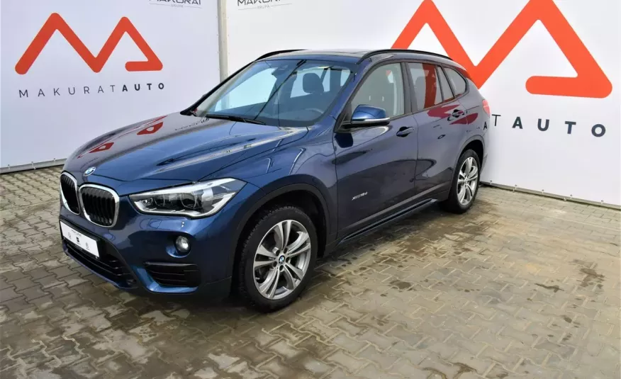 BMW X1 xDrive, P.salon, Led, Sportline, Klima 2, Panorama, Navi zdjęcie 