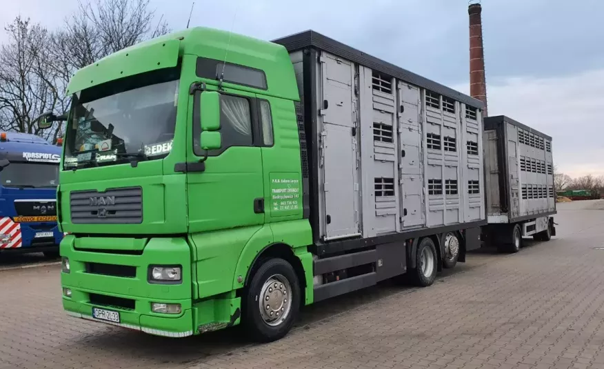 MAN TGA 26.400 + ZASŁAW Zestaw do przewozu żywca bydła , świnio wóz 3 poziomy zdjęcie 