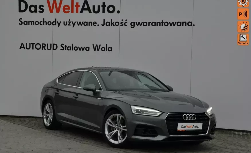 Audi A5 2.0TDI 190KM S-tronic Alcantara Temp.Aktywny Navi Gwar. Dealer zdjęcie 
