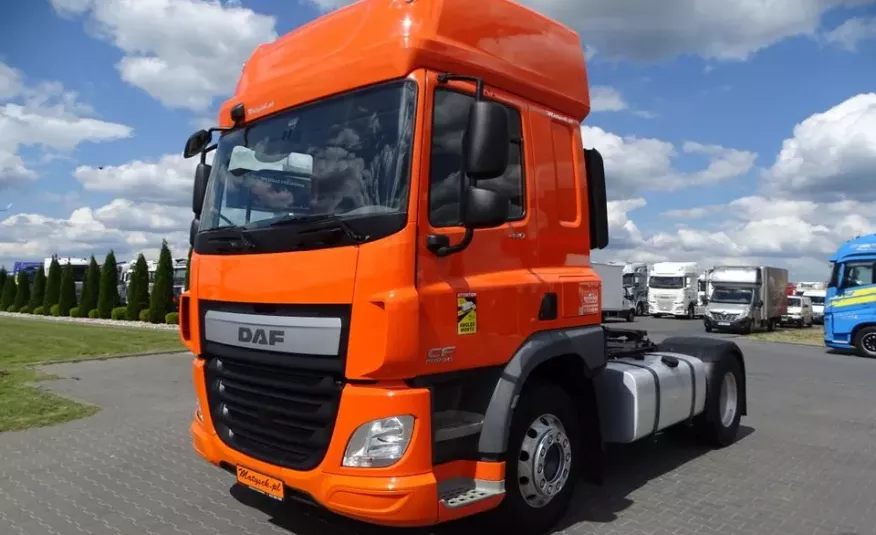 DAF CF 440 / GLOB / WAGA: 6 400 KG / MAŁY PRZEBIEG / EURO 6 / zdjęcie 