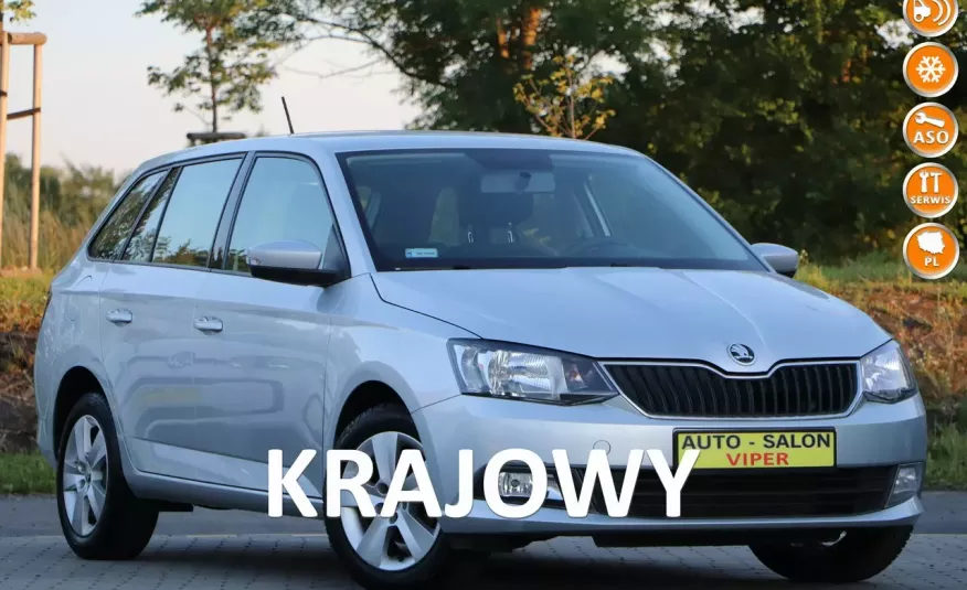 Skoda Fabia krajowy, , klima, zarejestrowany zdjęcie 1
