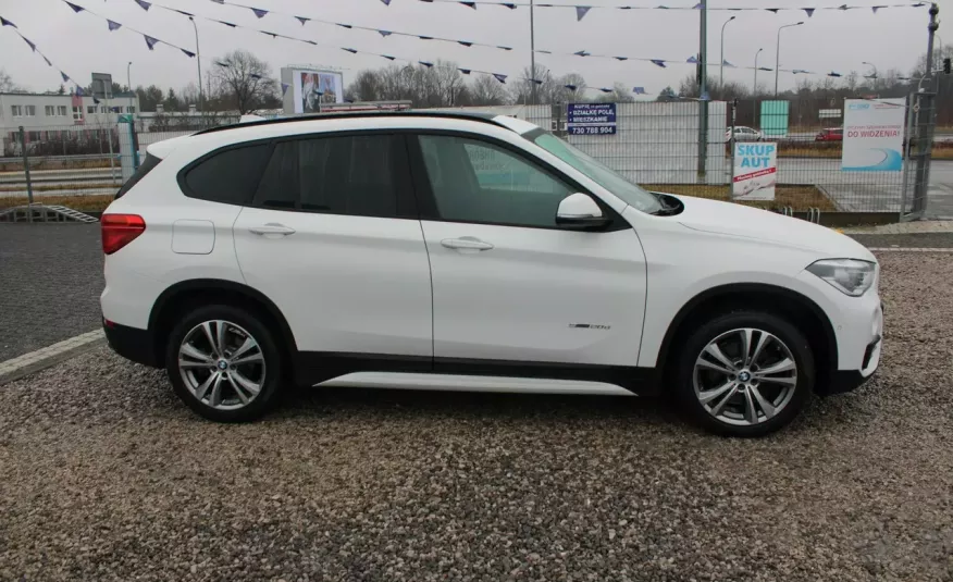 BMW X1 F-Vat, Gwarancja, I-właściciel, Automat, S-Drive, Sal.PL, Xenon, Panorama zdjęcie 