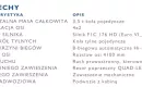 Iveco Daily HI-MATIC 3.0 AUTOLAWETA Pomoc Drogowa zdjęcie 25