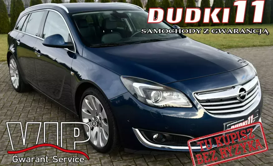 Opel Insignia 2.0D Navi, Xenony, Skóry, Kam/C.Ekran Dotykowy.EL.Klapa Bag. zdjęcie 
