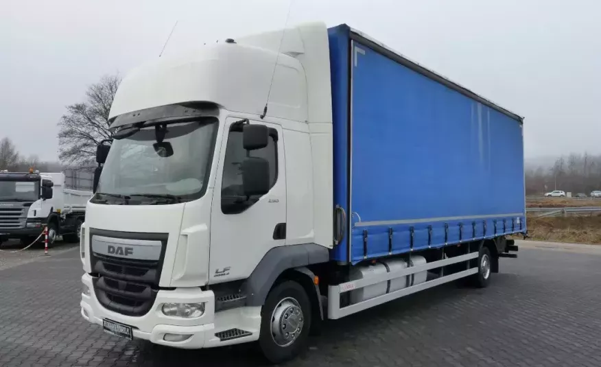 DAF LF 250 / FIRANKA 8.20 m / EURO 6 / KABINA SYPIALNA / zdjęcie 