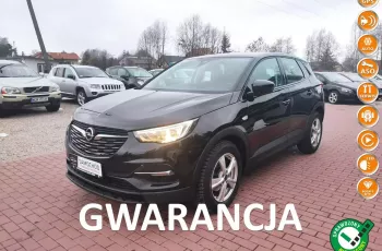 Opel Grandland X Gwarancja, Serwis