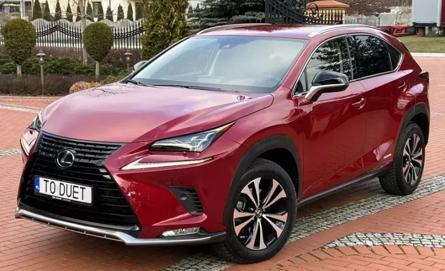 Lexus nx zdjęcie 