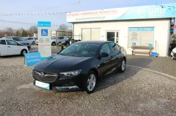 Opel Insignia F-Vat, Gwarancja, Salon Polska, I-właściciel, Niski Przebieg, Automat