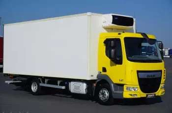 DAF / LF / 210 / ACC / EURO 6 / CHŁODNIA + WINDA / 15 PALET