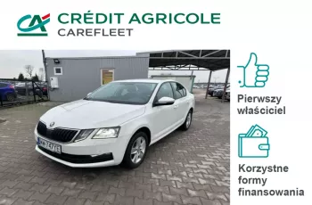 Skoda Octavia 1.6 TDI Ambition Salon PL 1 wł ASO FV23%