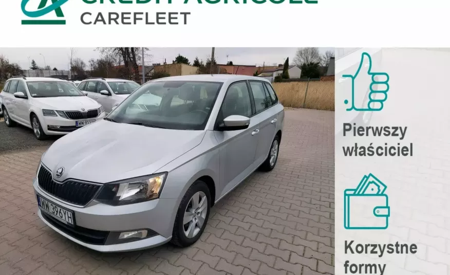 Skoda Fabia 1.0 TSI Ambition Salon PL 1 wł ASO FV23% zdjęcie 