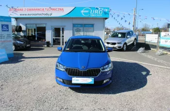 Skoda Fabia F-Vat, Salon Polska, Gwarancja, Benzyna, Tempomat.2019r, ALU, HBH, AMBITION