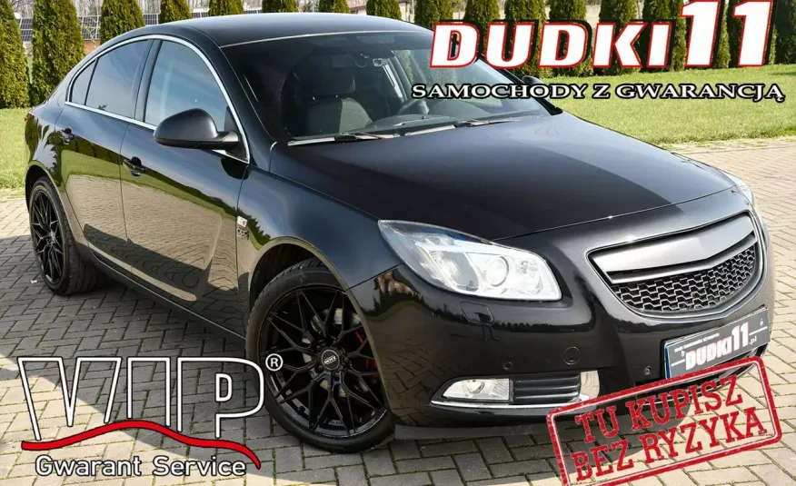 Opel Insignia 2.0Turbo OPC, Serwis, Klimatronic 2 str.Navi, Xenon, Parktronic zdjęcie 