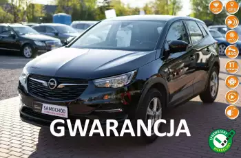 Opel Grandland X Gwarancja, Serwis