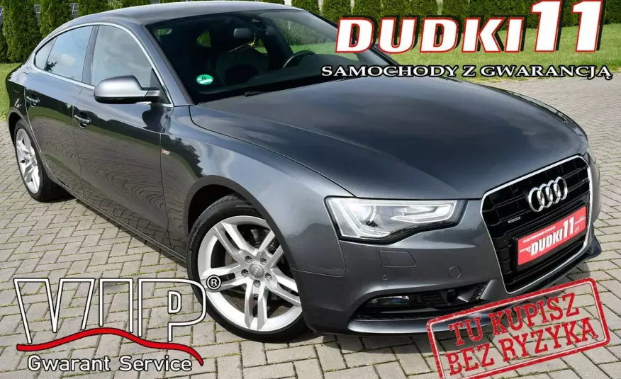 Audi A5 3,0tdi  Quattro,Navi,Bi-Xenon,Automat,S-Line,Alcantara,SERWIS zdjęcie 
