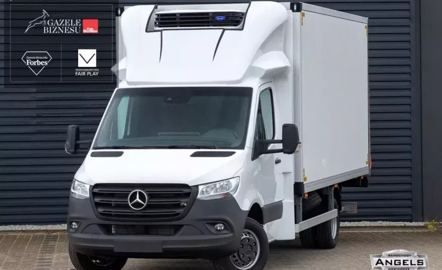 Mercedes Sprinter NOWY 5000kg CHŁODNIA 0 C + gniazdo postojowe Carrier KONTENER + WINDA zdjęcie 