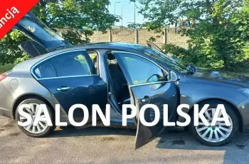 Opel Insignia Salon PL Po serwisie i wymianie łańcucha rozrządu