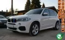 BMW X5 M-Pakiet LED Zadbana Podgrz. fotele Skórzana tapicerka Nawigacja zdjęcie 1