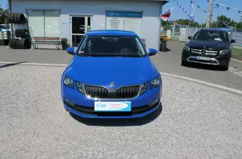 Skoda Octavia F-Vat, Salon Polska, Gwarancja, I-właściciel, Sedan