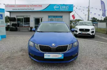 Skoda Octavia F-Vat, Salon Polska, Gwarancja, I-właściciel, Sedan