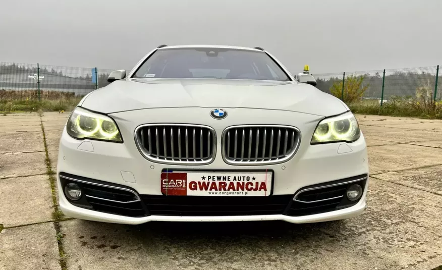 BMW 525 525D-x-drive Modern head up dociągi panorama skóry led night vision gw zdjęcie 2
