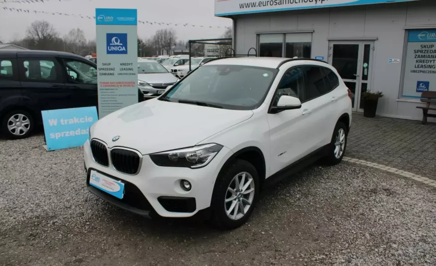 BMW X1 F-Vat, Salon Polska, Gwarancja, I-właściciel, Automat, S-Drive, Czuj.Parkowa zdjęcie 