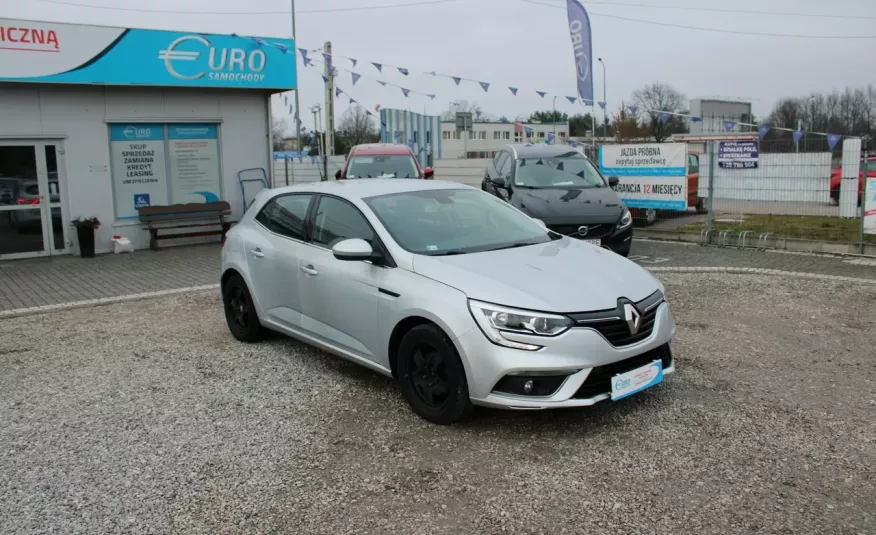 Renault Megane F-Vat, Salon PL, Gwarancja, Tempomat, Czuj.Parkowania, I-właściciel, Cz.Park zdjęcie 2