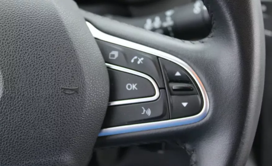 Renault Megane F-Vat, Salon PL, Gwarancja, Tempomat, Czuj.Parkowania, I-właściciel, Cz.Park zdjęcie 18