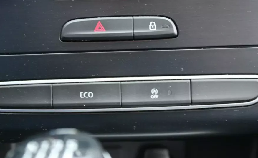 Renault Megane F-Vat, Salon PL, Gwarancja, Tempomat, Czuj.Parkowania, I-właściciel, Cz.Park zdjęcie 23
