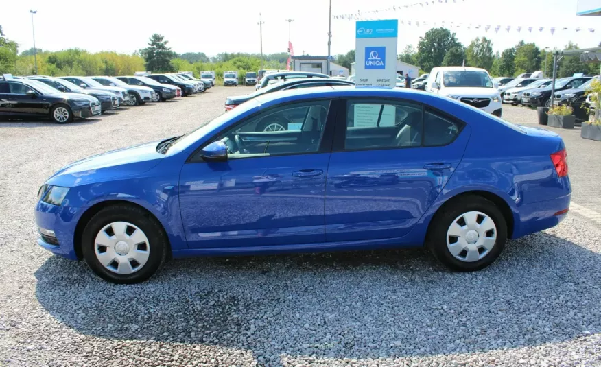 Skoda Octavia F-Vat, Salon Polska, Gwarancja, I-właściciel, NISKI-przebieg zdjęcie 3