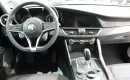 Alfa Romeo Giulia F-Vat, salon-pl, niski-przebieg, gwarancja, Automat, Alu, I-właść, Netto88537 zdjęcie 13