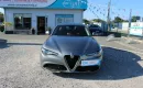 Alfa Romeo Giulia F-Vat, salon-pl, skóra, benzyna, gwarancja, Automat, Alu, I-właściciel zdjęcie 1